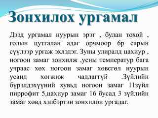 Зонхилох ургамал
Дээд ургамал нуурын эрэг , булан тохой ,
голын цутгалан адаг орчмоор 6р сарын
сүүлээр ургаж эхлэдэг. Зуны улиралд цахиур ,
ногоон замаг зонхилж ,усны температур бага
учраас хөх ногоон замаг хөвсгөл нуурын
усанд хөгжиж чаддаггүй .Зүйлийн
бүрэлдэхүүний хувьд ногоон замаг 11зүйл
пиррофит 5,цахиур замаг 16 бусад 3 зүйлийн
замаг хөвд хэлбэртэн зонхилон ургадаг.
 