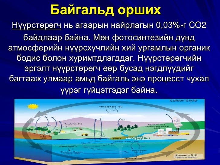 нүүрстөрөгч ба цахиур