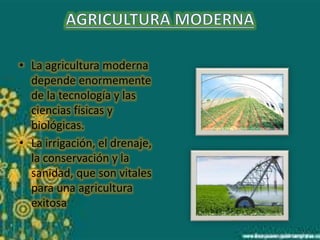 • La agricultura moderna 
depende enormemente 
de la tecnología y las 
ciencias físicas y 
biológicas. 
• La irrigación, el drenaje, 
la conservación y la 
sanidad, que son vitales 
para una agricultura 
exitosa 
 
