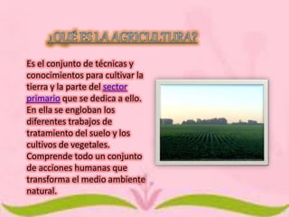 Es el conjunto de técnicas y 
conocimientos para cultivar la 
tierra y la parte del sector 
primario que se dedica a ello. 
En ella se engloban los 
diferentes trabajos de 
tratamiento del suelo y los 
cultivos de vegetales. 
Comprende todo un conjunto 
de acciones humanas que 
transforma el medio ambiente 
natural. 
 