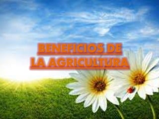 BENEFICIOS DE 
LA AGRICULTURA 
 