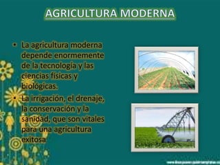 • La agricultura moderna 
depende enormemente 
de la tecnología y las 
ciencias físicas y 
biológicas. 
• La irrigación, el drenaje, 
la conservación y la 
sanidad, que son vitales 
para una agricultura 
exitosa 
 