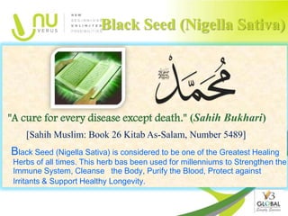 Black Seed (Nigella Sativa)




"A cure for every disease except death." (Sahih Bukhari)
    [Sahih Muslim: Book 26 Kitab As-Salam, Number 5489]
Black Seed (Nigella Sativa) is considered to be one of the Greatest Healing
 Herbs of all times. This herb bas been used for millenniums to Strengthen the
 Immune System, Cleanse the Body, Purify the Blood, Protect against
 Irritants & Support Healthy Longevity.
 