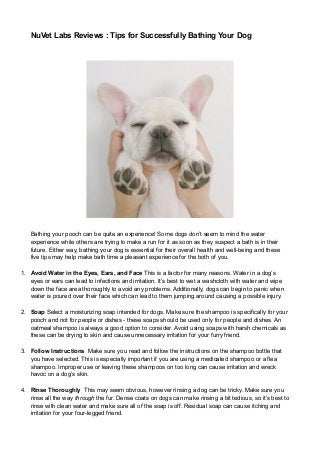 NuVet Labs Reviews : Tips for Successfully Bathing Your Dog
Bathing your pooch can be quite an experience! Some dogs don’t seem to mind the water
experience while others are trying to make a run for it as soon as they suspect a bath is in their
future. Either way, bathing your dog is essential for their overall health and well-being and these
five tips may help make bath time a pleasant experience for the both of you.
1. Avoid Water in the Eyes, Ears, and Face This is a factor for many reasons. Water in a dog’s
eyes or ears can lead to infections and irritation. It’s best to wet a washcloth with water and wipe
down the face area thoroughly to avoid any problems. Additionally, dogs can begin to panic when
water is poured over their face which can lead to them jumping around causing a possible injury.
2. Soap Select a moisturizing soap intended for dogs. Make sure the shampoo is specifically for your
pooch and not for people or dishes - these soaps should be used only for people and dishes. An
oatmeal shampoo is always a good option to consider. Avoid using soaps with harsh chemicals as
these can be drying to skin and cause unnecessary irritation for your furry friend.
3. Follow Instructions Make sure you read and follow the instructions on the shampoo bottle that
you have selected. This is especially important if you are using a medicated shampoo or a flea
shampoo. Improper use or leaving these shampoos on too long can cause irritation and wreck
havoc on a dog’s skin.
4. Rinse Thoroughly This may seem obvious, however rinsing a dog can be tricky. Make sure you
rinse all the way through the fur. Dense coats on dogs can make rinsing a bit tedious, so it’s best to
rinse with clean water and make sure all of the soap is off. Residual soap can cause itching and
irritation for your four-legged friend.
 