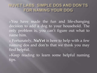 You have made the fun and life-changing
decision to add a dog to your household. The
only problem is, you can’t figure out what to
name him.
 Fortunately, NuVet is here to help with a few
naming dos and don’ts that we think you may
find helpful.
Keep reading to learn some helpful naming
tips.
 