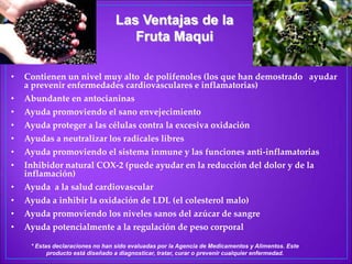 Las Ventajas de la Fruta MaquiContienen un nivel muy alto  de polifenoles (los que han demostrado   ayudar a prevenir enfermedades cardiovasculares e inflamatorias)