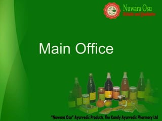 Main Office
 