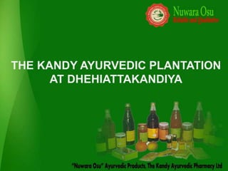 THE KANDY AYURVEDIC PLANTATION
      AT DHEHIATTAKANDIYA
 