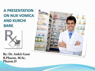 A PRESENTATION
ON NUX VOMICA
AND KURCHI
BARK
By: Dr. Ankit Gaur
B.Pharm, M.Sc,
Pharm.D
 