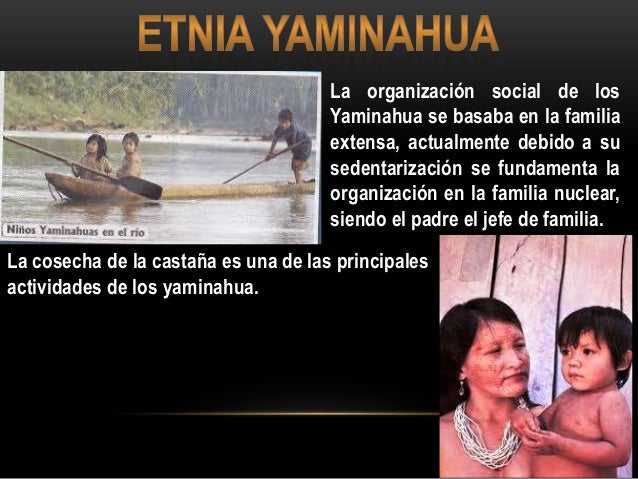 Resultado de imagen para cosmovisión de los yaminahuas