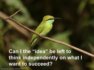 Can I the “idea” be left to think independently on what I want to succeed?   http://www.flickr.com/photos/ckiran/2824638044/ 