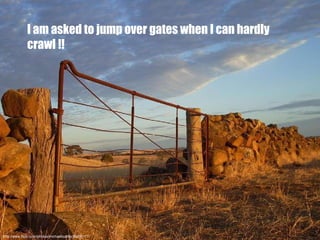 http://www.flickr.com/photos/michaelbuddle/95455177/ I am asked to jump over gates when I can hardly crawl !! 