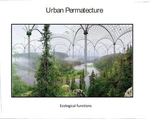 Urban Permatecture
Ecological functions
 