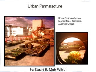 Urban Permatecture
Urban food production
Launceston , Tasmania,
Australia (2012).
By: Stuart R. Muir Wilson
 