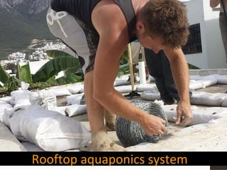 Rooftop aquaponics system
 