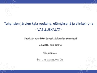 Tuhansien järvien kala ruokana, elämyksenä ja elinkeinona
- VAELLUSKALAT -
Saaristo-, rannikko- ja vesistöalueiden seminaari
7.6.2016, Koli, Lieksa
Niilo Valkonen
 