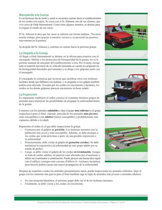 Manejando a la Granja
Es un hermoso día de otoño y usted se encuentra camino hacia el establecimiento
de los cerdos con cojera. Se cruza con el Sr. Johnson, uno de sus clientes, que
vive cerca de Oink International. Como tiene algunos minutos, se detiene para
averiguar el estado de sus vacas.

El Sr. Johnson le dice que las vacas se salieron esa misma mañana. ‘Tuvimos
mucho trabajo, pero gracias a nuestros vecinos y su personal las pusimos
nuevamente en la pastura’.

Se despide del Sr. Johnson y continúa su camino hacia la próxima granja.

La Llegada a la Granja
Al llegar a Oink International se detiene en la oficina para reunirse con el
encargado. Debido a los protocolos de bioseguridad de la granja, no se le
permite manejar de una parte del establecimiento a otra. Por lo tanto, recoge
todo el material necesario de su vehículo (teniendo en cuenta los preparativos
de bioseguridad discutidos previamente) y se dirige a los galpones junto con
el encargado.

El encargado le comunica que tuvieron que sacrificar otros tres lechones
lactantes desde que hablaron esa mañana, y se pregunta si ese galpón también
podría estar afectado. Excepto por los cerdos en crecimiento y lactantes, los
cerdos en los demás galpones parecen encontrarse en buen estado.

La Inspección
Es importante establecer el orden correcto al examinar distintos grupos de
animales para minimizar las posibilidades de propagar la enfermedad dentro
de la granja.

Comience con los animales saludables y deje el grupo más enfermo (o el grupo
sospechoso) para el final. Además, proceda de los animales más jóvenes
(más susceptibles) a los adultos (menos susceptibles y probablemente más
expuestos debido a la edad).

Repasemos el orden en el que debe inspeccionar la granja.                                                       2
  1.	 Comience por el galpón de parición. Los lechones neonatos son la 	
                                                                                        1
	     población más joven y más susceptible. Además, se debe proteger a 	
                                                                                                                5
	     las cerdas que están próximas a parir, de una posible exposición a
	     la enfermedad.                                                                        4
  2.	 Posteriormente, debe visitar al galpón de gestación (cerdas). Se debe 	                                         3
	     minimizar la exposición a la enfermedad de este grupo adulto por su 	
	     estado de preñez.
  3.	 Luego, se debe visitar el galpón de los cerdos en terminación. Aunque 	
	     se trata de cerdos adultos, no parecen estar afectados por el momento y
 	    deben ser examinados a continuación. Puede parecer una buena idea seguir 	
	     con el edificio contiguo más cercano (Edificio 4—lechones lactantes), 	
	     pero hacerlo podría causar una mayor propagación de la enfermedad.

Después de examinar a todos los animales presuntamente sanos, puede inspeccionar los animales enfermos. Deje el
grupo con los síntomas más graves para el final (también siga la regla de animales más jóvenes a animales adultos).

 4.	 En esta situación hipotética, el próximo grupo debe ser el de los lechones lactantes.
 5.	 Finalmente, se debe visitar a los cerdos en crecimiento.




                 Programa Nacional de Acreditación Veterinaria • Enfermedades Vesiculares • Página 11 of 23
 