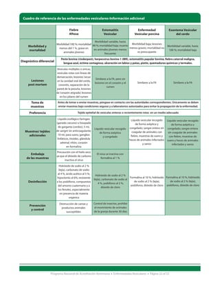 Cuadro de referencia de las enfermedades vesiculares-Información adicional


                                     Fiebre                        Estomatitis                    Enfermedad               Exantema Vesicular
                                     Aftosa                         Vesicular                   Vesicular porcina              del cerdo

                                                         Morbilidad variable, hasta
                          Morbilidad 100 %; mortalidad 90 %; mortalidad baja; muerte Morbilidad baja; lesiones
     Morbilidad y                                                                   menos graves; mortalidad no
                                                                                                                          Morbilidad variable, hasta
                           menos del 1 %, grave en      en animales jóvenes menos
     mortalidad                                                                          es preocupante
                                                                                                                           100 %; mortalidad baja
                               animales jóvenes                  frecuente
                              Peste bovina (rinderpest), herpesvirus bovino 1 (IBR), estomatitis papular bovina, fiebre catarral maligna,
Diagnóstico diferencial
                                lengua azul, ectima contagioso, ulceración en labios y patas, pietín, quemaduras químicas y termales.

                          Vesículas múltiples o únicas,
                          vesículas rotas con líneas de
                          demarcación, lesiones ‘secas’
                                                              Similares a la FA, pero sin
       Lesiones            en la cavidad oral del cerdo,
                                                             lesiones en el corazón y el          Similares a la FA            Similares a la FA
     post mortem            coronitis, separación de la
                                                                       rumen
                          pared de la pezuña, lesiones
                          de ‘corazón atigrado’, lesiones
                             en los pilares del rumen

      Toma de              Antes de tomar o enviar muestras, póngase en contacto con las autoridades correspondientes. Únicamente se deben
      muestras             enviar muestras bajo condiciones seguras y a laboratorios autorizados para evitar la propagación de la enfermedad.

     Preferencia                            Tejido epitelial de vesículas enteras o recientemente rotas en un medio adecuado

                           Líquido esofágico-faríngeo                                        Líquido vesicular recogido  Líquido vesicular recogido
                          (ganado vacuno) o hisopado                                             de forma aséptica y         de forma aséptica y
                            de garganta (cerdos), 5 mL                                      congelado; sangre entera sin congelado; sangre entera
                                                            Líquido vesicular recogido
  Muestras/ tejidos       de sangre sin anticoagulante;                                       coagular de animales con
                                                                de forma aséptica                                         sin coagular de animales
    adicionales             10 mL para suero, ganglios                                       fiebre, muestras de suero y
                                                                   y congelado                                             con fiebre, muestras de
                           linfáticos, tiroides, glándula                                   heces de animales infectados suero y heces de animales
                              adrenal, riñón, corazón                                                  y sanos                infectados y sanos
                                   en formalina
                          Precaución con el hielo seco
       Embalaje                                               El virus se inactiva con
                          ya que el dióxido de carbono
    de las muestras                                               formalina al 1 %
                                inactiva el virus

                            Hidróxido de sodio al 2 %
                           (lejía), carbonato de sodio
                           al 4 %, ácido acético al 5 %;
                                                           Hidróxido de sodio al 2 %
                          hipoclorito al 6%; resistente                                 Formalina al 10 %, hidróxido Formalina al 10 %, hidróxido
                                                         (lejía), carbonato de sodio al
     Desinfección         a los yodóforos, compuestos
                                                              4 %, yodóforos al 2 %,
                                                                                           de sodio al 2 % (lejía),     de sodio al 2 % (lejía),
                           del amonio cuaternario y a                                   yodóforos, dióxido de cloro yodóforos, dióxido de cloro
                                                                 dióxido de cloro
                           los fenoles, especialmente
                             en presencia de materia
                                      orgánica

                            Destrucción de camas y          Control de insectos, prohibir
      Prevención
                             productos animales             el movimiento de animales
       y control
                                 susceptibles               de la granja durante 30 días




                      Programa Nacional de Acreditación Veterinaria • Enfermedades Vesiculares • Página 22 of 23
 
