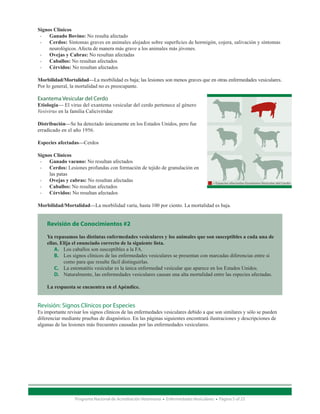 Signos Clínicos
  •	 Ganado Bovino: No resulta afectado
  •	 Cerdos: Síntomas graves en animales alojados sobre superficies de hormigón, cojera, salivación y síntomas 		
	    neurológicos. Afecta de manera más grave a los animales más jóvenes.
  •	 Ovejas y Cabras: No resultan afectadas
  •	 Caballos: No resultan afectados
  •	 Cérvidos: No resultan afectados

Morbilidad/Mortalidad—La morbilidad es baja; las lesiones son menos graves que en otras enfermedades vesiculares.
Por lo general, la mortalidad no es preocupante.

Exantema Vesicular del Cerdo
Etiología— El virus del exantema vesicular del cerdo pertenece al género
Vesivirus en la familia Caliciviridae

Distribución—Se ha detectado únicamente en los Estados Unidos, pero fue
erradicado en el año 1956.

Especies afectadas—Cerdos

Signos Clínicos
  •	 Ganado vacuno: No resultan afectados
  •	 Cerdos: Lesiones profundas con formación de tejido de granulación en 	
	    las patas
  •	 Ovejas y cabras: No resultan afectadas
                                                                                          = Especies afectadas-Exantema Vesicular del Cerdo
  •	 Caballos: No resultan afectados
  •	 Cérvidos: No resultan afectados

Morbilidad/Mortalidad—La morbilidad varía, hasta 100 por ciento. La mortalidad es baja.


    Revisión de Conocimientos #2

    Ya repasamos las distintas enfermedades vesiculares y los animales que son susceptibles a cada una de
    ellas. Elija el enunciado correcto de la siguiente lista.
        A.	 Los caballos son susceptibles a la FA.
        B.	 Los signos clínicos de las enfermedades vesiculares se presentan con marcadas diferencias entre si
            como para que resulte fácil distinguirlas.
        C.	 La estomatitis vesicular es la única enfermedad vesicular que aparece en los Estados Unidos.
        D.	 Naturalmente, las enfermedades vesiculares causan una alta mortalidad entre las especies afectadas.

    La respuesta se encuentra en el Apéndice.


Revisión: Signos Clínicos por Especies
Es importante revisar los signos clínicos de las enfermedades vesiculares debido a que son similares y sólo se pueden
diferenciar mediante pruebas de diagnóstico. En las páginas siguientes encontrará ilustraciones y descripciones de
algunas de las lesiones más frecuentes causadas por las enfermedades vesiculares.




                  Programa Nacional de Acreditación Veterinaria • Enfermedades Vesiculares • Página 5 of 23
 