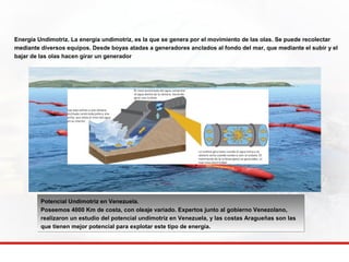 Energía Undimotriz. La energía undimotriz, es la que se genera por el movimiento de las olas. Se puede recolectar 
mediante diversos equipos. Desde boyas atadas a generadores anclados al fondo del mar, que mediante el subir y el 
bajar de las olas hacen girar un generador. 
Potencial Undimotriz en Venezuela. 
Poseemos 4000 Km de costa, con oleaje variado. Expertos junto al gobierno Venezolano, 
realizaron un estudio del potencial undimotriz en Venezuela, y las costas Aragueñas son las 
que tienen mejor potencial para explotar este tipo de energía. 
 