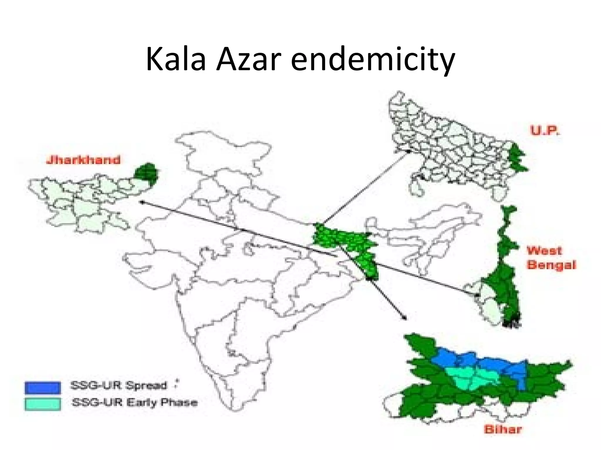 Kala Azar endemicity
 