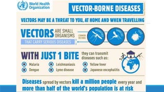 National Vector Borne Disease Control Programme (NVBDCP)