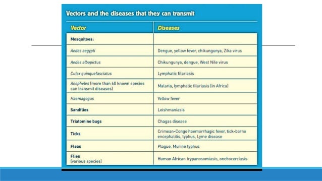 National Vector Borne Disease Control Programme (NVBDCP)