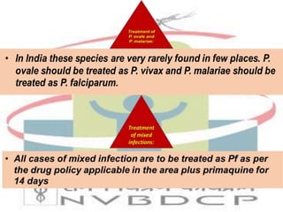 National vector borne disease control programme | PPTX
