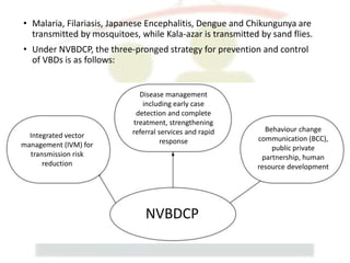 Dvbd National Vector Borne Disease Control Programme | PPTX