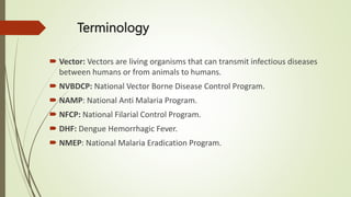 Terminology
 Vector: Vectors are living organisms that can transmit infectious diseases
between humans or from animals to humans.
 NVBDCP: National Vector Borne Disease Control Program.
 NAMP: National Anti Malaria Program.
 NFCP: National Filarial Control Program.
 DHF: Dengue Hemorrhagic Fever.
 NMEP: National Malaria Eradication Program.
 