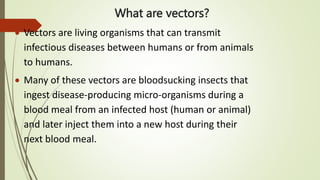 What are vectors?
 Vectors are living organisms that can transmit
infectious diseases between humans or from animals
to humans.
 Many of these vectors are bloodsucking insects that
ingest disease-producing micro-organisms during a
blood meal from an infected host (human or animal)
and later inject them into a new host during their
next blood meal.
 