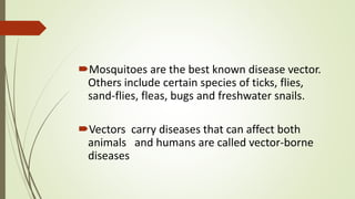 Mosquitoes are the best known disease vector.
Others include certain species of ticks, flies,
sand-flies, fleas, bugs and freshwater snails.
Vectors carry diseases that can affect both
animals and humans are called vector-borne
diseases
 