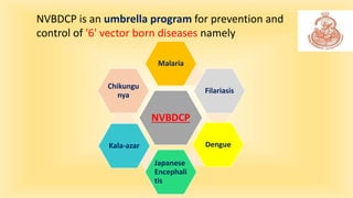 NVBDCP is an umbrella program for prevention and
control of '6' vector born diseases namely
NVBDCP
Malaria
Filariasis
Deng...