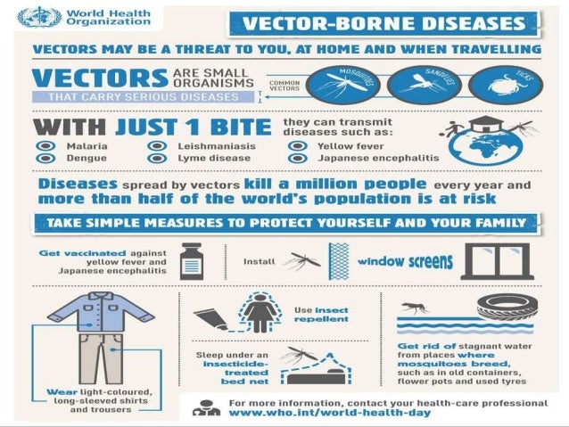 National Vector Borne Disease Control Programme