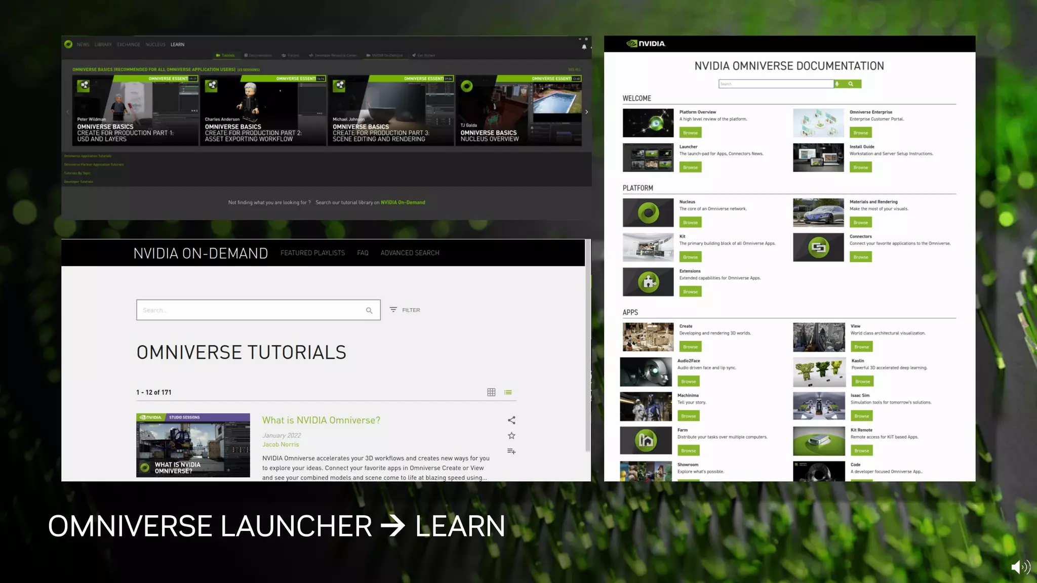 OMNIVERSE LAUNCHER → LEARN
 