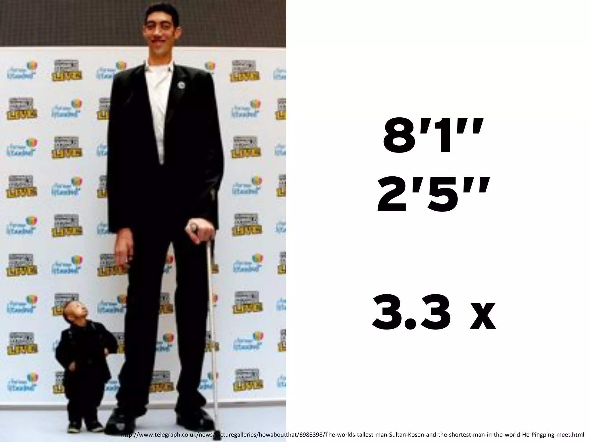 8’1’’
                                                                                       2’5’’

                                                                                     3.3 x

!"#$%%;;;+5<=<-'&#!+0,+>?%1<;/%#)05>'<-&==<')</%!,;&.,>"!&5%@ABBCAB%D!<3;,'=2/35&==</534&13E>=5&13F,/<13&1235!<3/!,'5</534&13)135!<3;,'=23G<3H)1-#)1-34<<5+!54=:
 