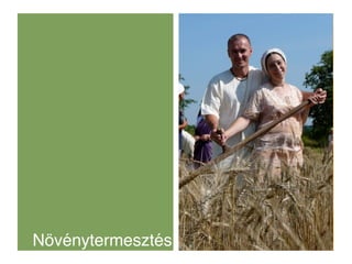 2009-es tervek
          letek á sa a mezőgazdasá
• Gyepterü      tadá             gnak, 30 %
• Úrézsűkasza beszerzése (ha...