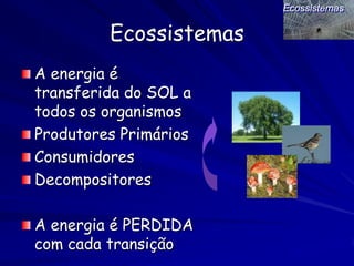 Fluxo de Energia nos Ecossistemas




A ENERGIA FLUI DE PRODUTORES PARA DECOMPOSITORES
                        Þ
         ...