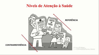 Níveis de atenção a saúde