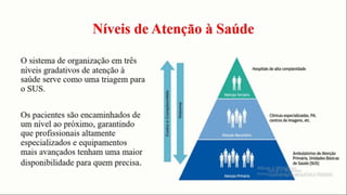 Níveis de atenção a saúde