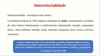 Níveis de atenção a saúde