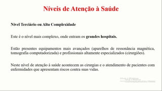 Níveis de atenção a saúde