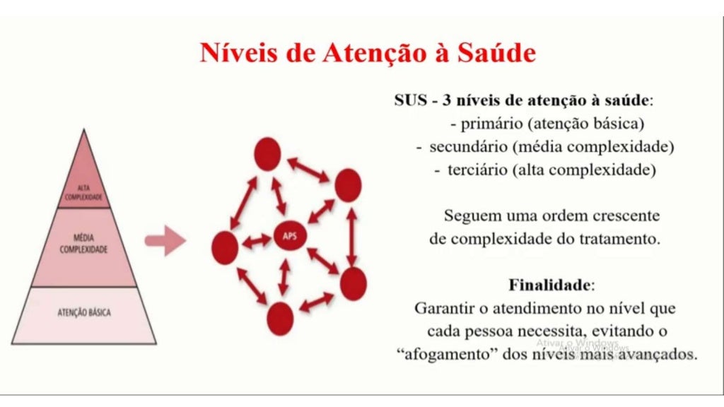 Níveis de atenção a saúde