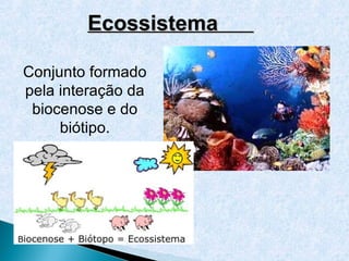 Ecossistema

Conjunto formado
pela interação da
 biocenose e do
     biótipo.
 