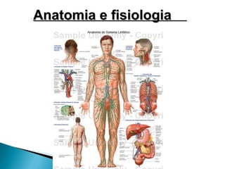 Anatomia e fisiologia
 