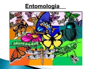 Entomologia
 