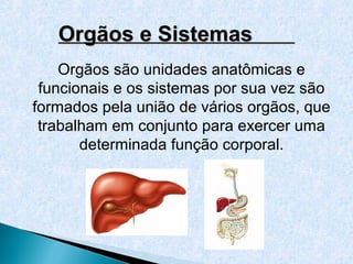 Orgãos e Sistemas
    Orgãos são unidades anatômicas e
 funcionais e os sistemas por sua vez são
formados pela união de vários orgãos, que
 trabalham em conjunto para exercer uma
       determinada função corporal.
 