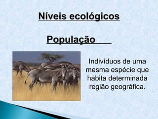 Níveis ecológicos

 População

         Indivíduos de uma
         mesma espécie que
         habita determinada
          região geográfica.
 