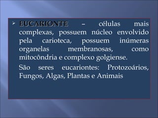 EUCARIONTE  – células mais complexas, possuem núcleo envolvido pela carioteca, possuem inúmeras organelas membranosas, como mitocôndria e complexo golgiense. São seres eucariontes: Protozoários, Fungos, Algas, Plantas e Animais 