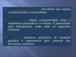 Membrana Plasmática  – envoltório que separa o material intra e extracelular; Citoplasma  – região compreendida entre a membrana plasmática e o núcleo. É preenchido pelo hialoplasma, onde estão as organelas celulares. Núcleo  – estrutura portadora do material genético é responsável pelo controle das atividades celulares. 
